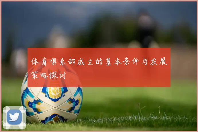 体育俱乐部成立的基本条件与发展策略探讨
